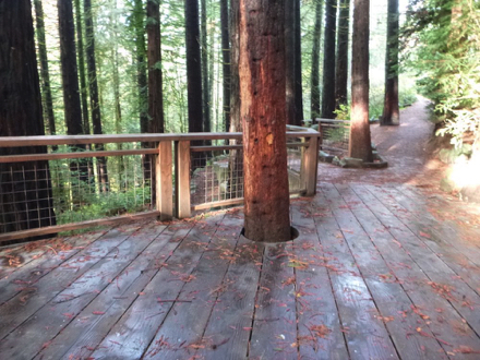 Slate pavers change to wooden planks at Redwood platform - slippery when wet